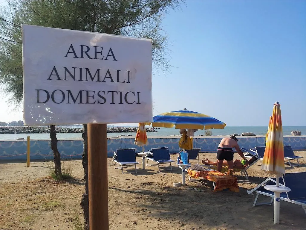 Hotel Paloma Rimini